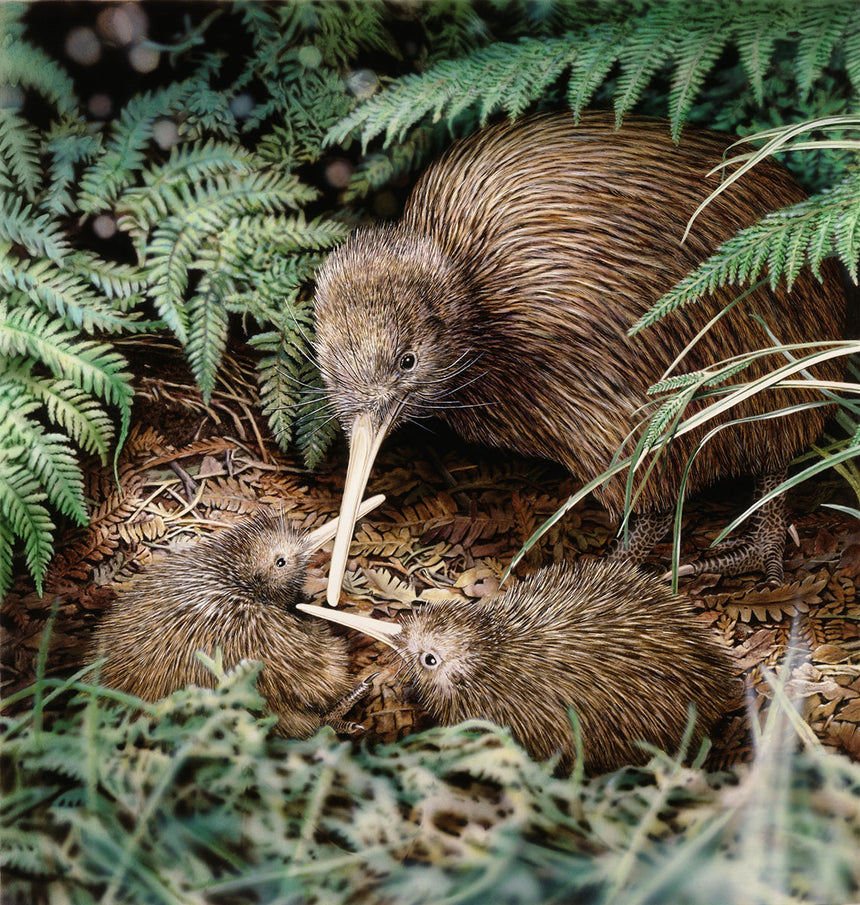 KIWI